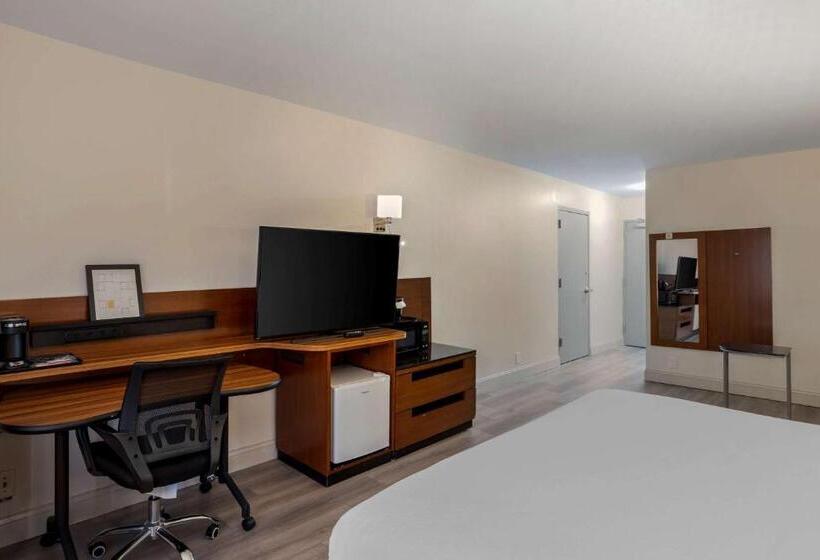 身障者適用キングサイズベッドルーム, Comfort Inn & Suites Mt. Laurelphiladelphia