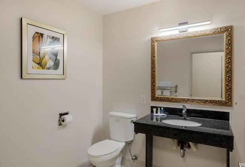 身障者適用キングサイズベッドルーム, Comfort Inn & Suites Mt. Laurelphiladelphia