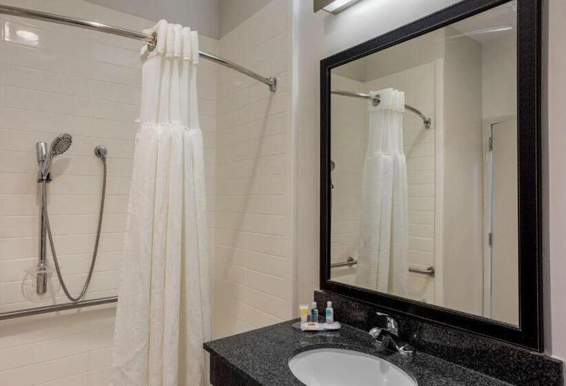 Номер Стандарт Кровать Кинг Адаптированный для Инвалидов, Comfort Inn & Suites Mt. Laurelphiladelphia