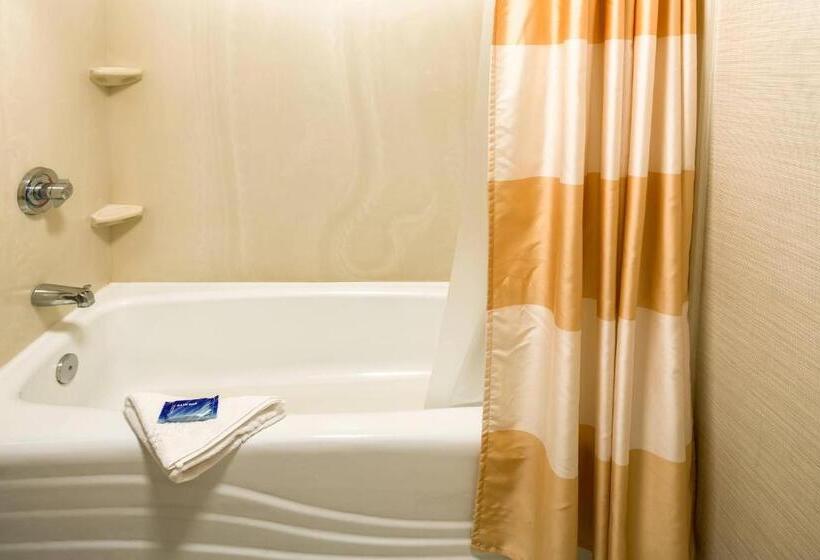 장애인용 디럭스룸, Fairfield Inn & Suites Jacksonville Airport