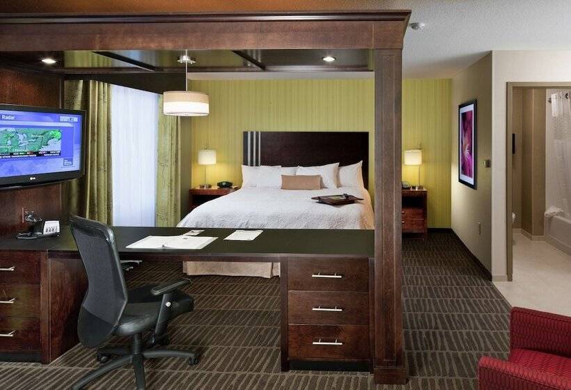 Номер Стандарт, Hampton Inn & Suites Saginaw