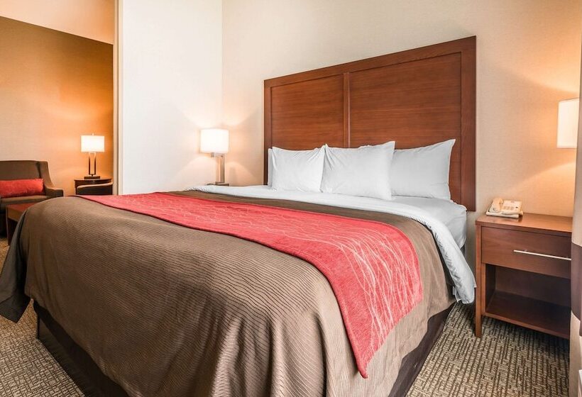 Люкс Адаптированный для Инвалидов, Comfort Inn & Suites