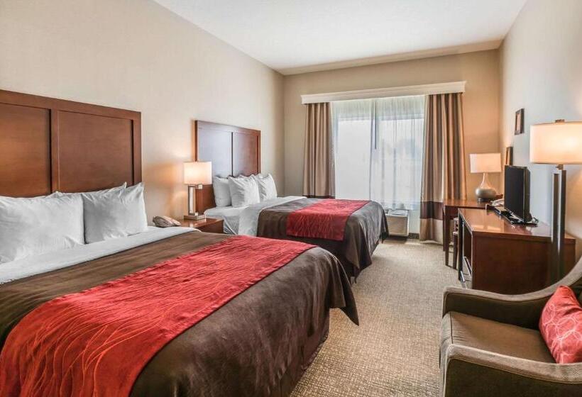 Номер Стандарт Адаптированный для Инвалидов, Comfort Inn & Suites
