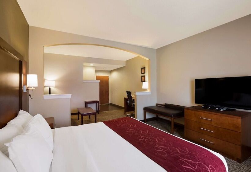 Люкс, Comfort Suites Near University