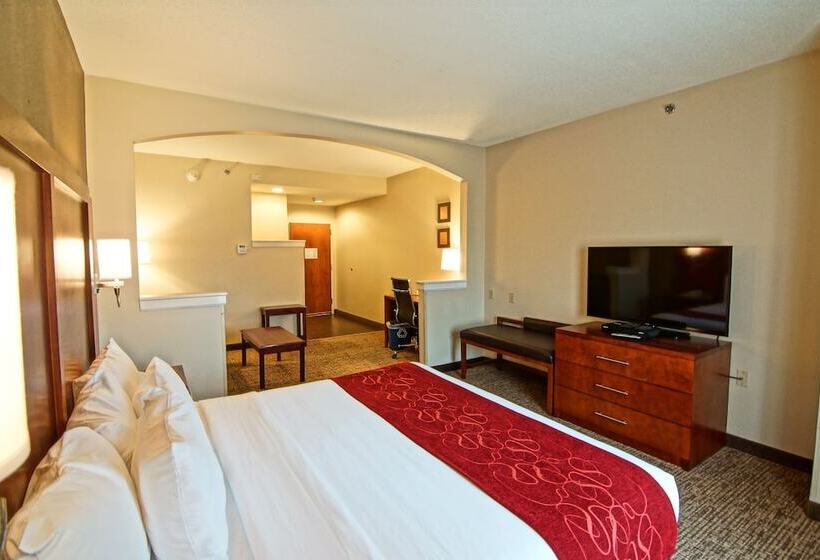 Люкс, Comfort Suites Near University