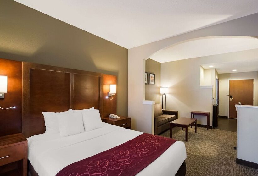 Люкс Адаптированный для Инвалидов, Comfort Suites Near University