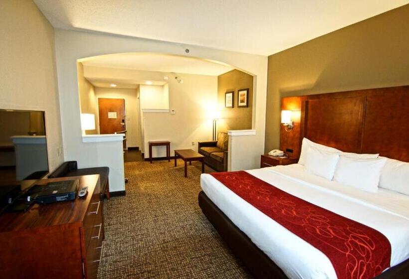 Люкс Кровать Кинг, Comfort Suites Near University