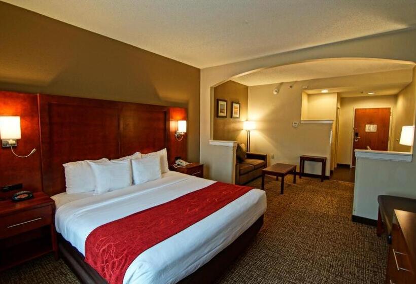 Люкс Кровать Кинг, Comfort Suites Near University