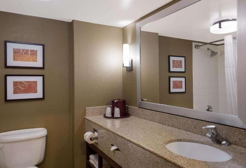 Люкс, Comfort Suites Near University