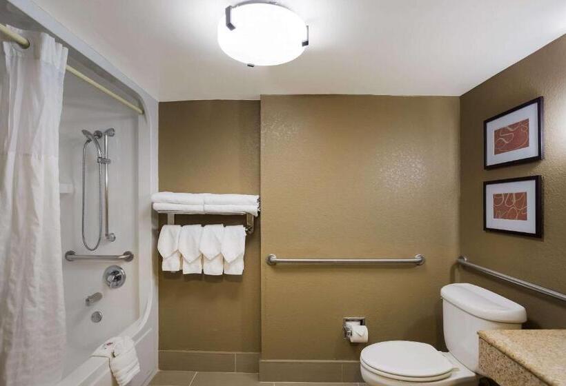 Люкс Адаптированный для Инвалидов, Comfort Suites Near University