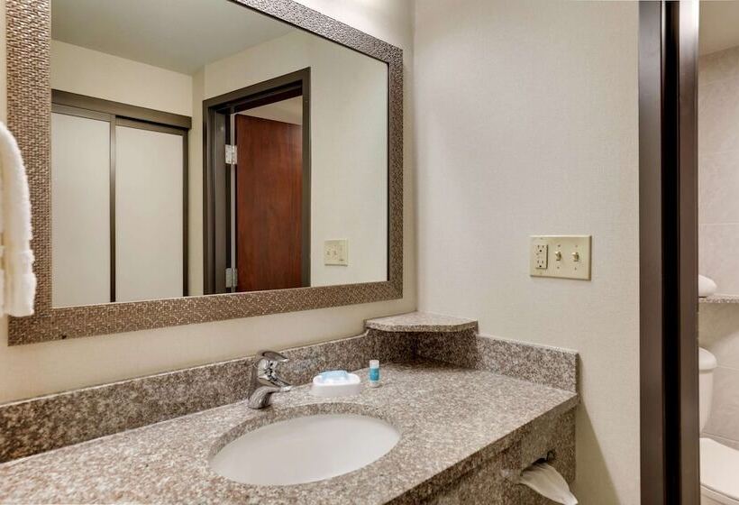 디럭스 룸, Drury Plaza Hotel Columbus Downtown