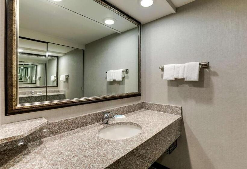 Номер Deluxe Адаптированный для Инвалидов, Drury Inn & Suites Columbus Dublin