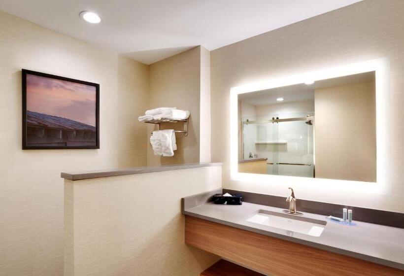 Люкс Кровать Кинг, Fairfield Inn By Marriott Lexington Park Patuxent River Naval Air Station