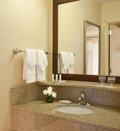 带大床的套房, Springhill Suites By Marriott Medford