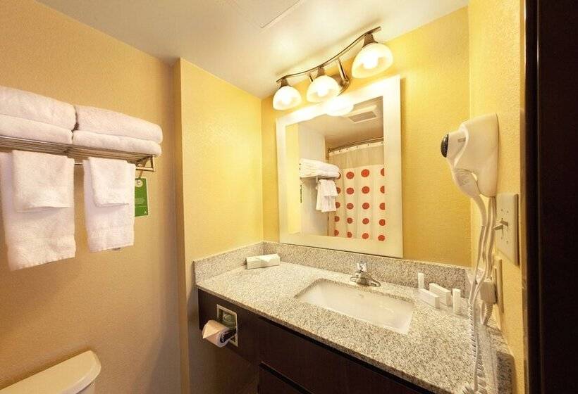 سوییت, Towneplace Suites Wilmington Newark/christiana