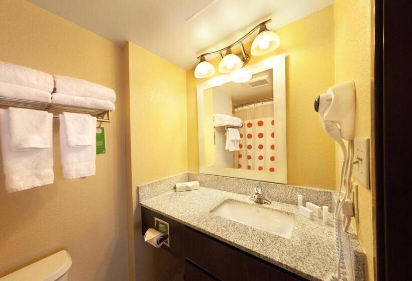 استودیو استاندارد با تخت کینگ, Towneplace Suites Wilmington Newark/christiana