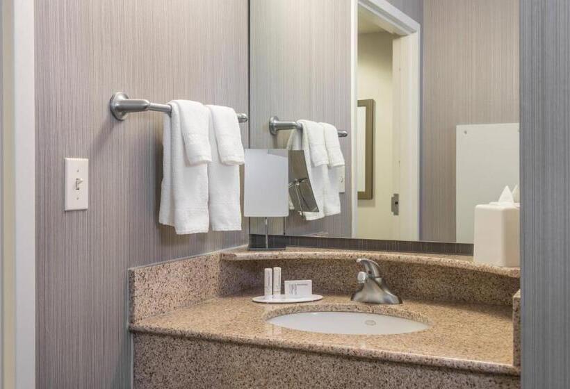 اتاق استاندارد با تخت بزرگ, Courtyard By Marriott Newark University Of Delaware