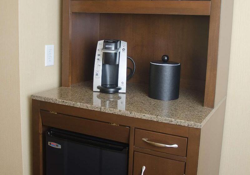 Стандартный Номер Кровать Кинг, Hilton Garden Inn Watertown/thousand Islands