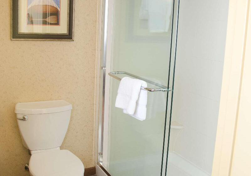 Стандартный Номер Кровать Кинг, Hilton Garden Inn Watertown/thousand Islands