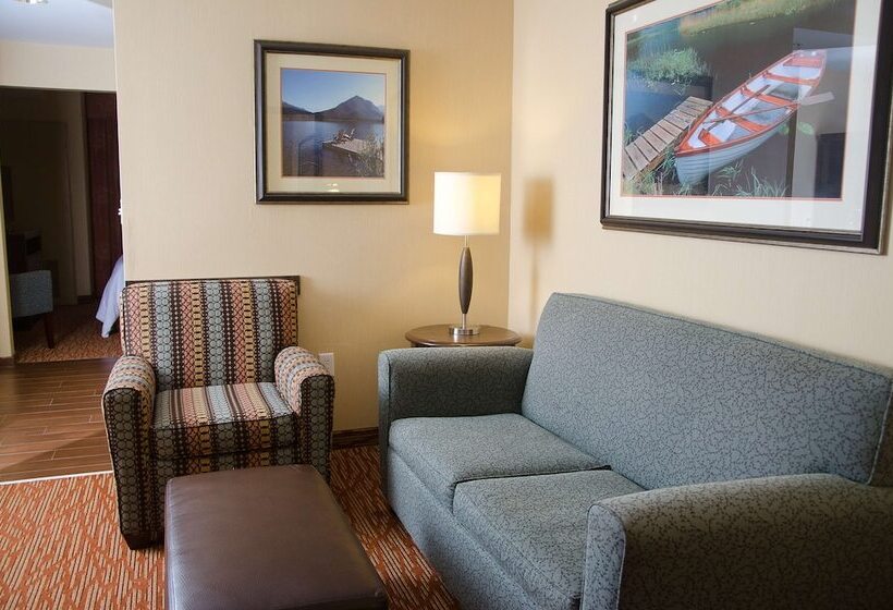 Люкс Адаптированный для Инвалидов, Hilton Garden Inn Watertown/thousand Islands