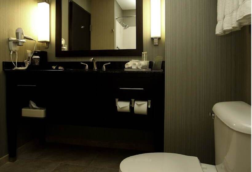 Номер Стандарт, Holiday Inn Express & Suites Marion Northeast, An Ihg