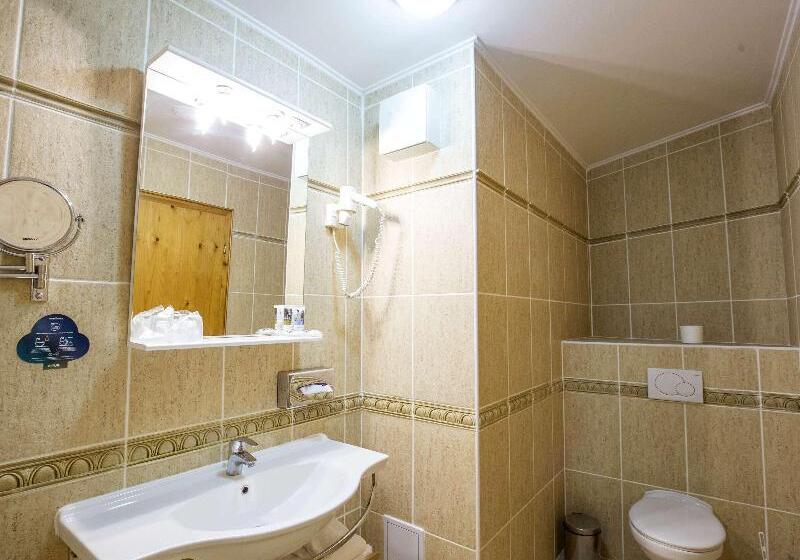 اتاق استاندارد, Mercure Sighisoara Binderbubi Hotel & Spa