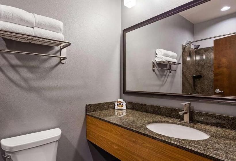 带大床的标准间, Best Western Plus Williston Hotel & Suites