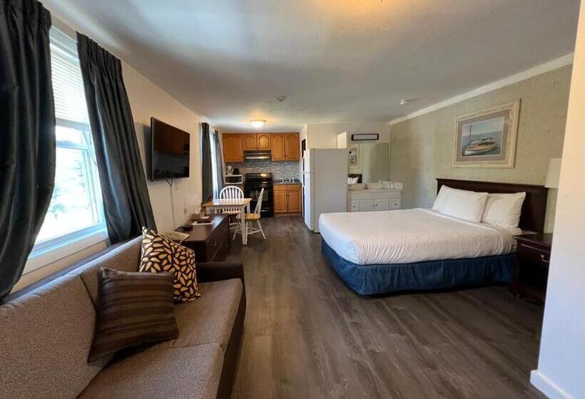 Студия Стандарт, Guestlodge