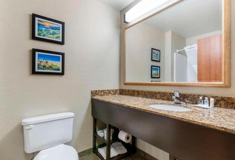 Люкс Кровать Кинг, Comfort Inn & Suites Mitchell I 90
