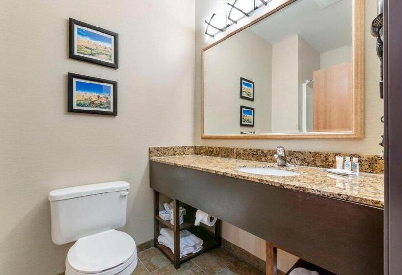 Люкс, Comfort Inn & Suites Mitchell I 90