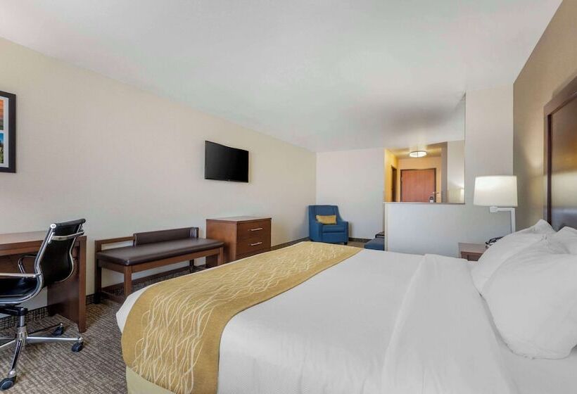 Номер Стандарт, Comfort Inn & Suites Mitchell I 90