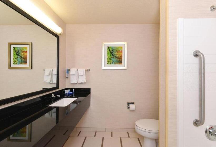 Стандартный Номер Кровать Кинг, Fairfield Inn & Suites Bloomington