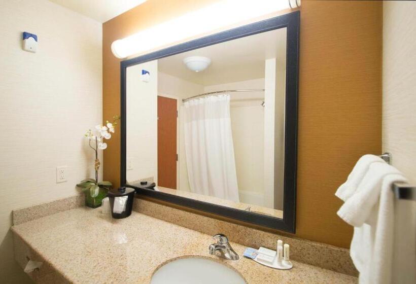 Стандартный Номер Кровать Кинг, Fairfield Inn & Suites Burley