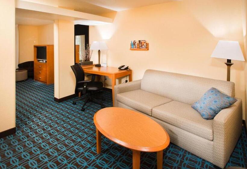 Студио Стандарт Кровать Кинг, Fairfield Inn & Suites Burley