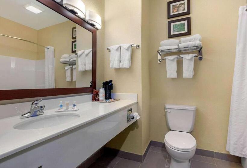 Номер Стандарт, Comfort Inn Us 60 63