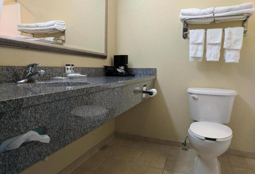 Номер Премиум, Country Inn & Suites By Radisson, Tallahassee University Area, Fl