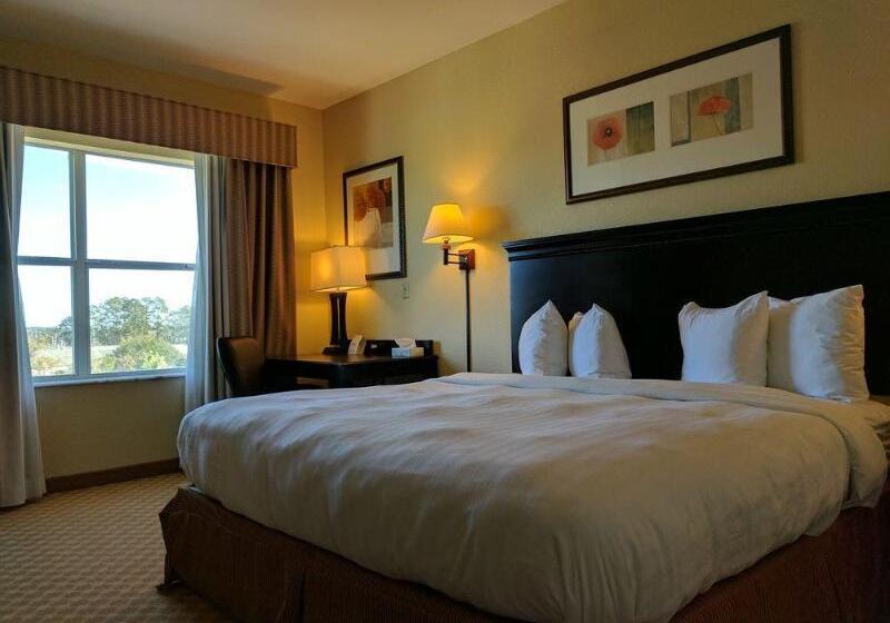 Стандартный Номер Кровать Кинг, Country Inn & Suites By Radisson, Tallahassee University Area, Fl