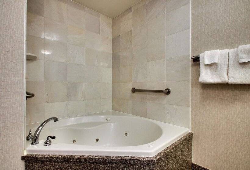 豪华房间, Drury Inn & Suites Charlotte Northlake
