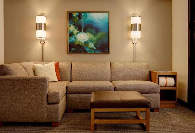Номер Стандарт Кровать Кинг Адаптированный для Инвалидов, Hyatt Place Salt Lake City Downtown / The Gateway