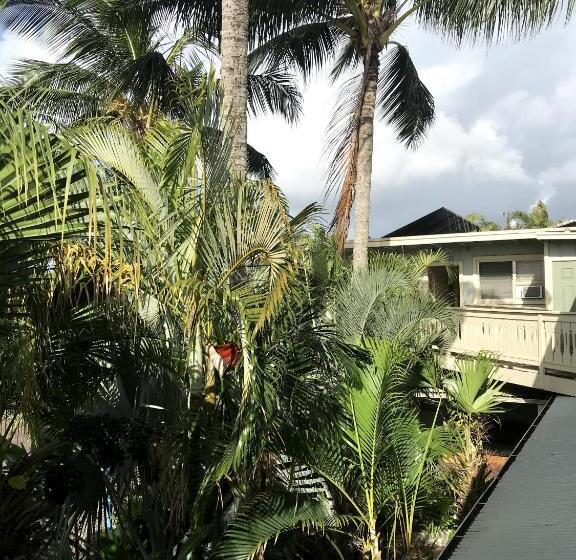 Стандартный Номер Кровать Кинг, Kauai Palms