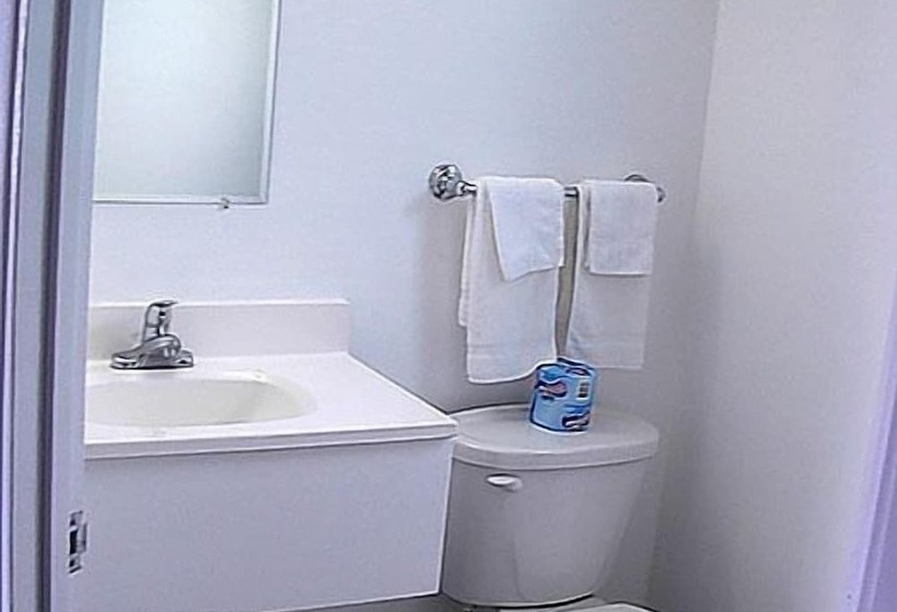 Номер Стандарт 2 Двуспальные Кровати, Economy Inn