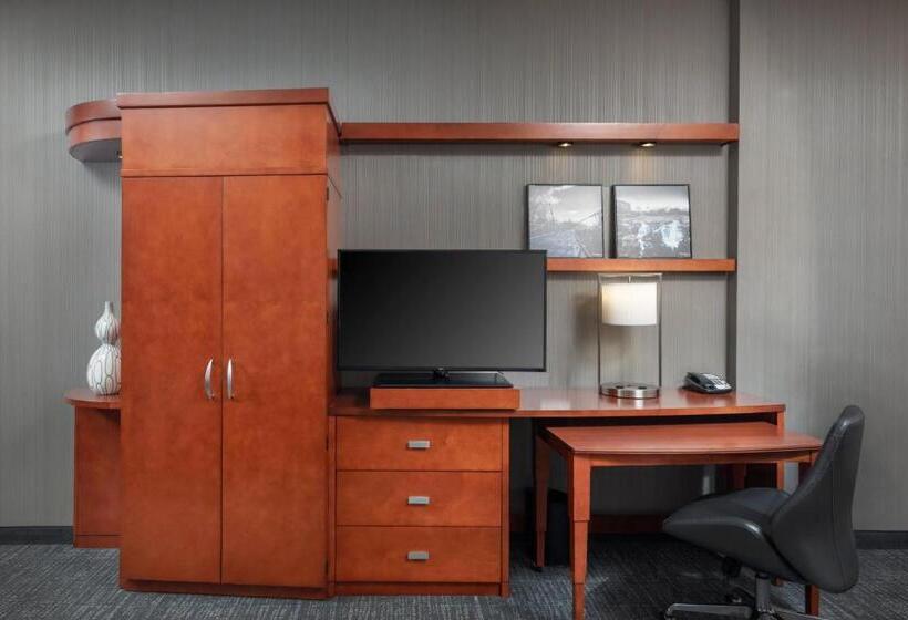 스탠다드 도시전망 룸, Courtyard By Marriott Greenville Downtown