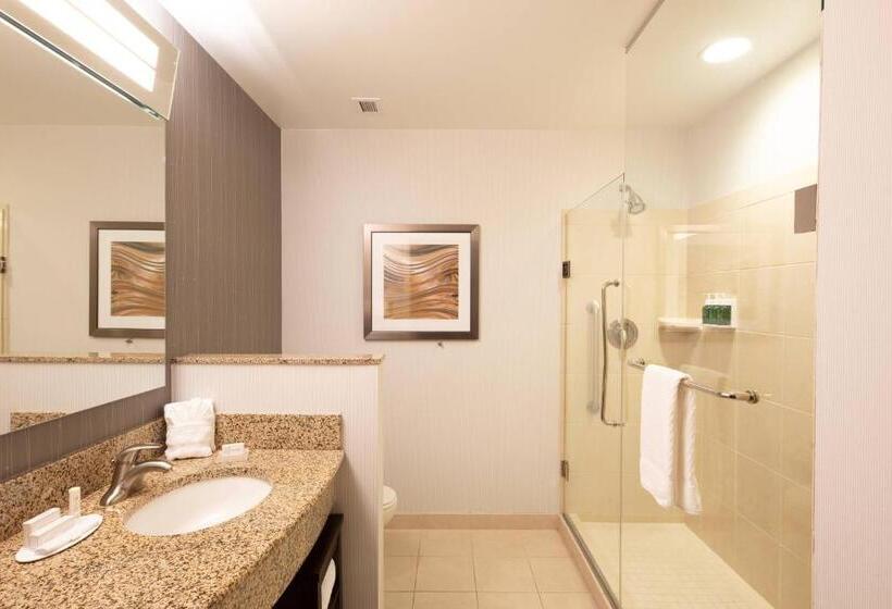 스탠다드 스튜디오 킹침대, Courtyard By Marriott Greenville Downtown