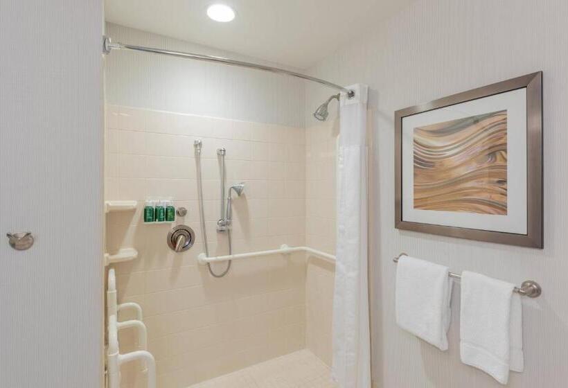 주니어 스위트, Courtyard By Marriott Greenville Downtown