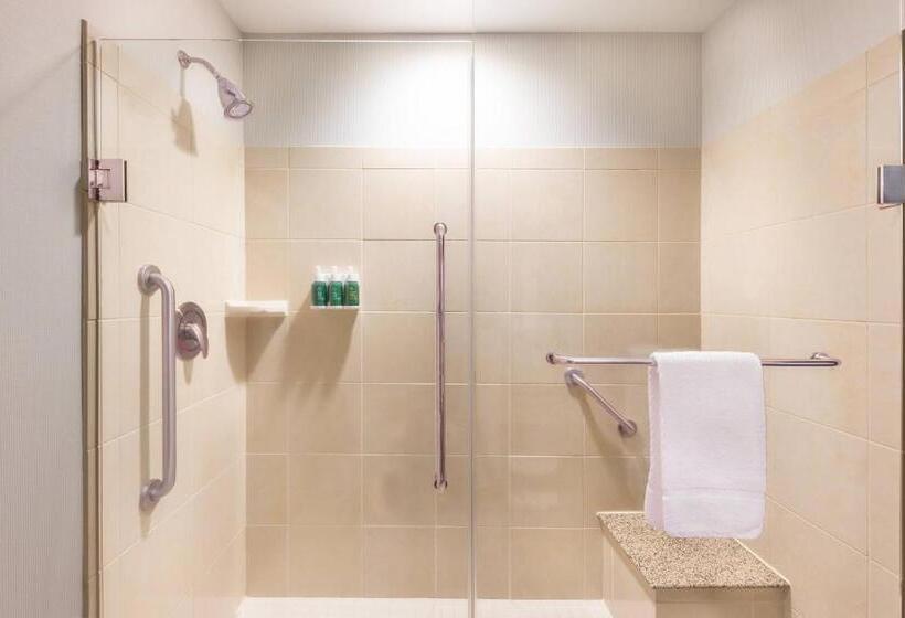 스탠다드 룸 킹사이즈 침대, Courtyard By Marriott Greenville Downtown