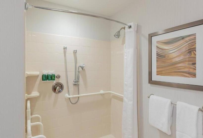 장애인을 위한 킹사이즈 침대 스탠다드 룸, Courtyard By Marriott Greenville Downtown
