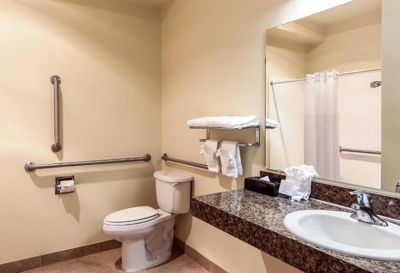 Номер Стандарт Кровать Кинг Адаптированный для Инвалидов, Quality Inn Selah North Park