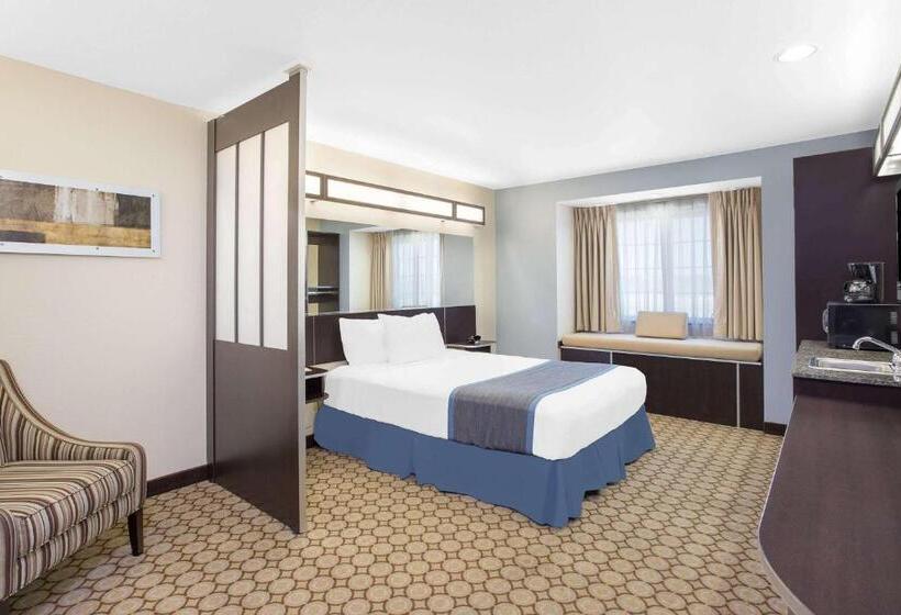 标准工作室, Microtel Inn And Suites San Angelo
