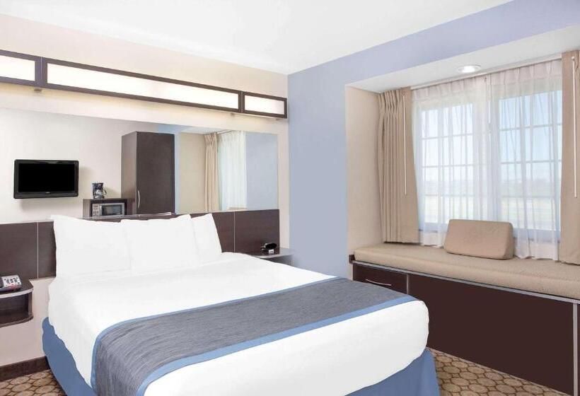 标准间, Microtel Inn And Suites San Angelo