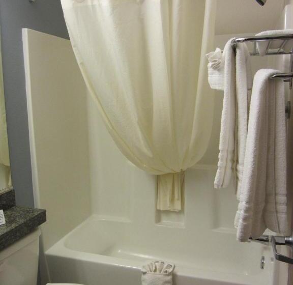 标准间, Microtel Inn And Suites San Angelo